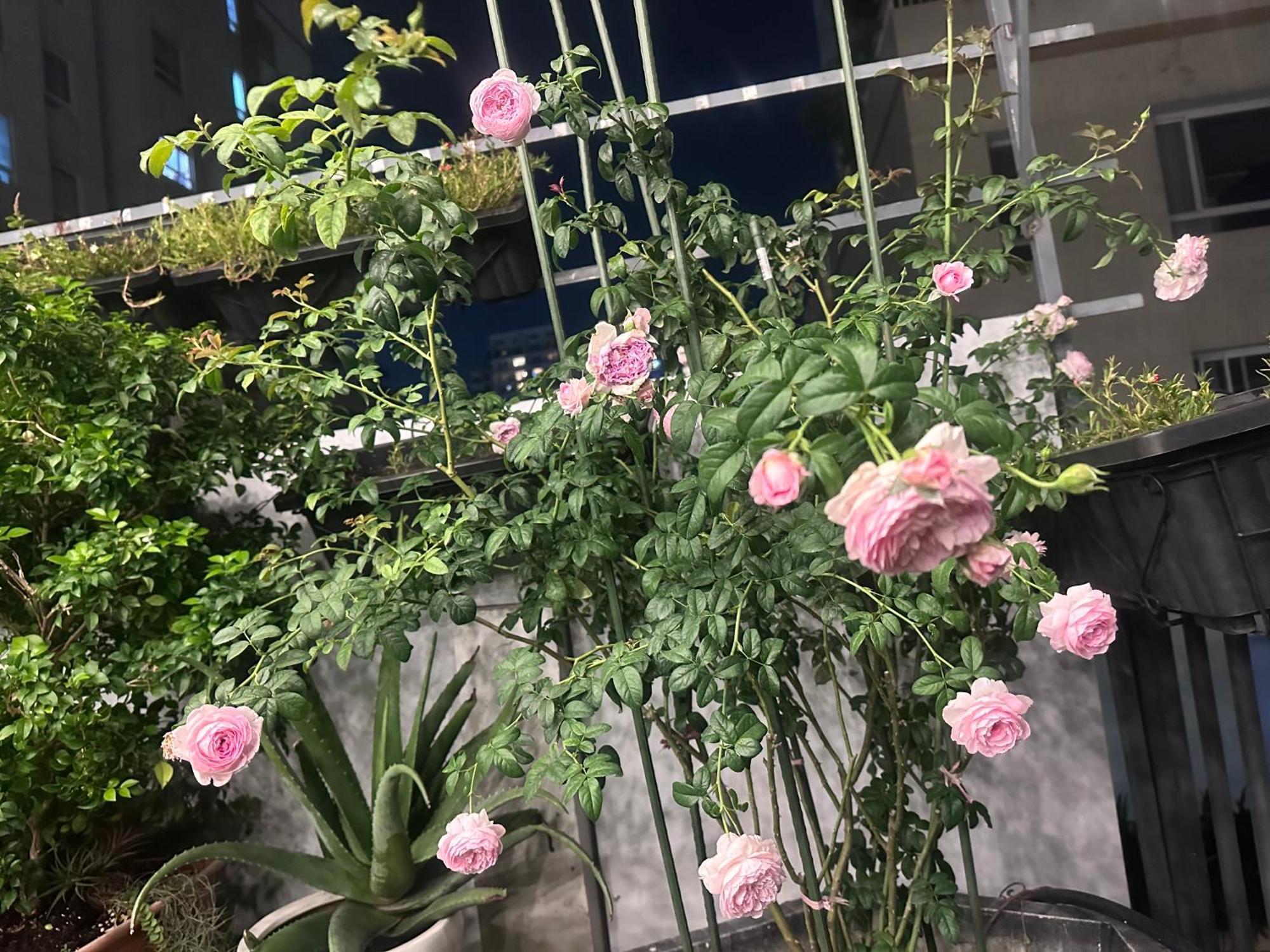 Homey Apartment 호치민 외부 사진
