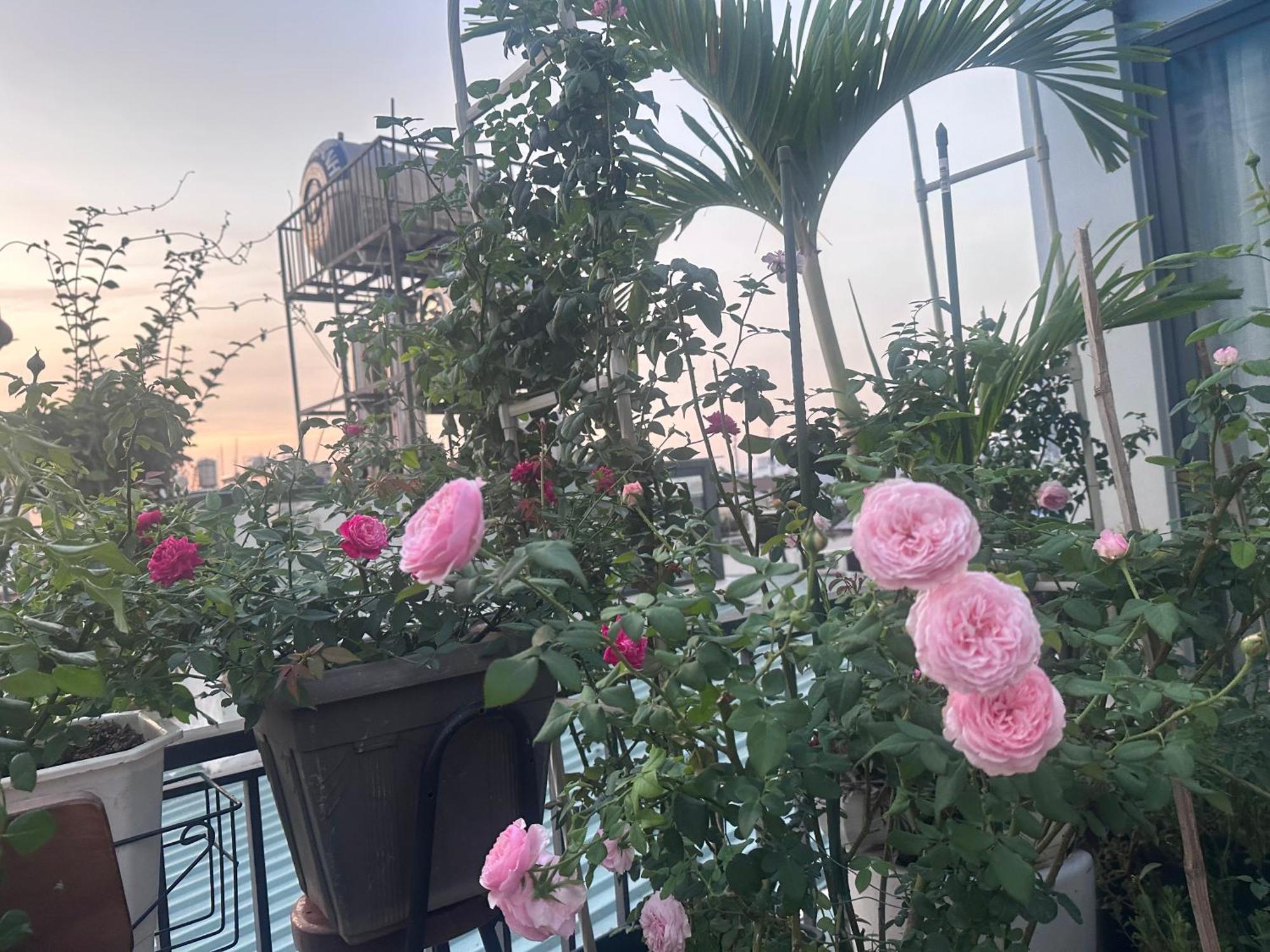 Homey Apartment 호치민 외부 사진