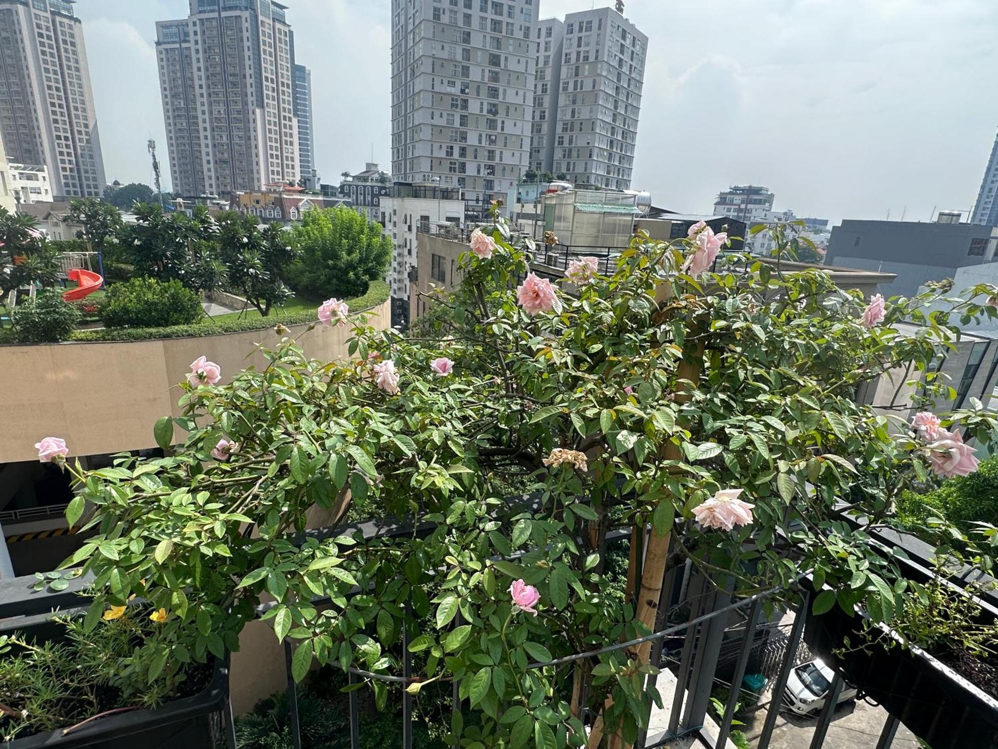 Homey Apartment 호치민 외부 사진