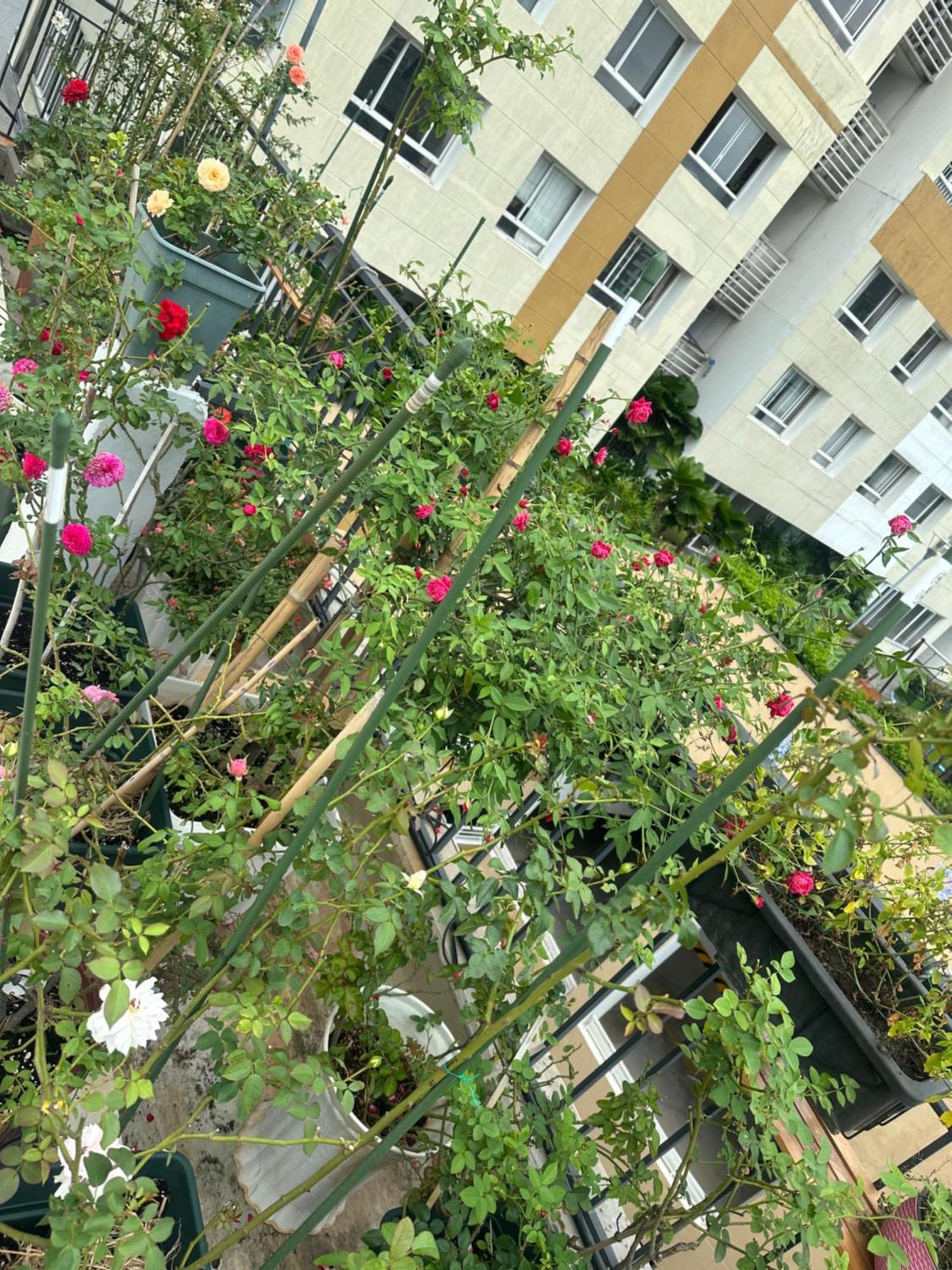 Homey Apartment 호치민 외부 사진